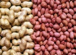 Peanuts